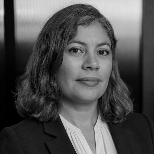 Daniela Alvarex 500